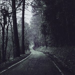 Meet your Posher, Liv